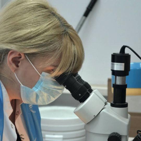 Photos from open sources