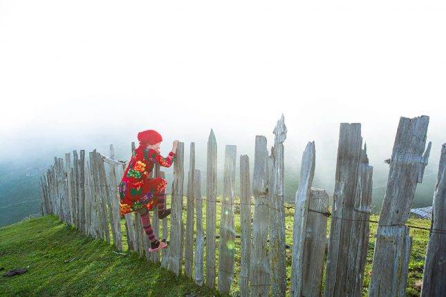 Little girl playing in the field. Photo: Natela Grigalashvili