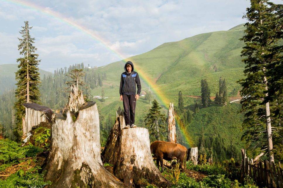 Young cowherd on the summer pastures. Photo: Natela Grigalashvili