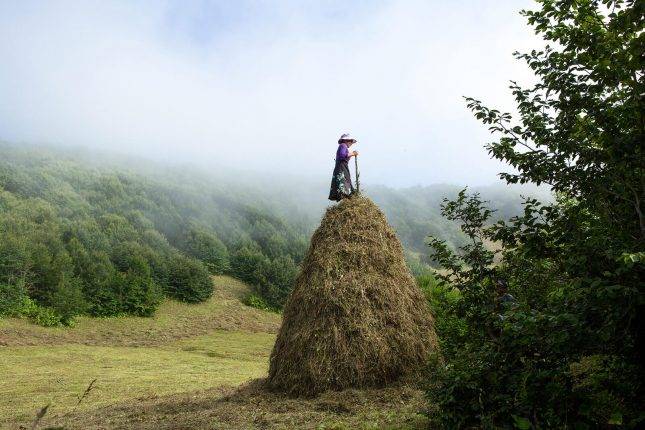 Woman stomping a haystack at summer pastures. Photo: Natela Grigalashvili