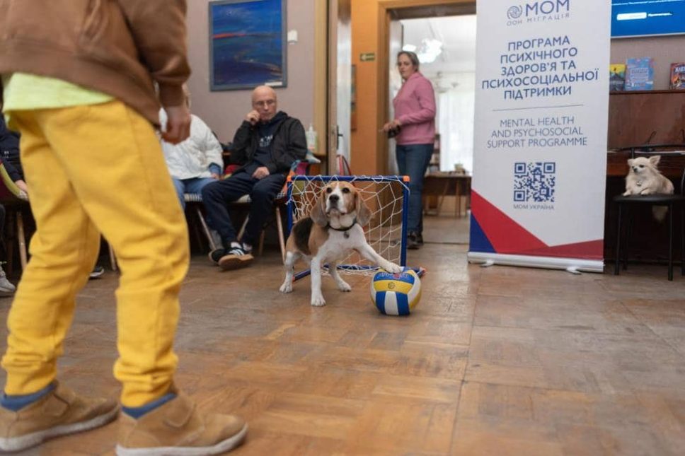 Діти грають із біглем з Херсона під час заходу МОМ із психосоціальної підтримки за участі собак, листопад 2024. Фото: МОМ Україна/Станіслав Калач