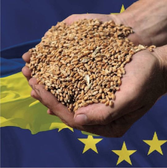 Фото з відкритих джерел