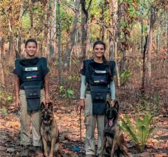 Фото з відкритих джерел