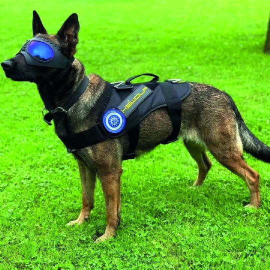 Фото з відкритих джерел